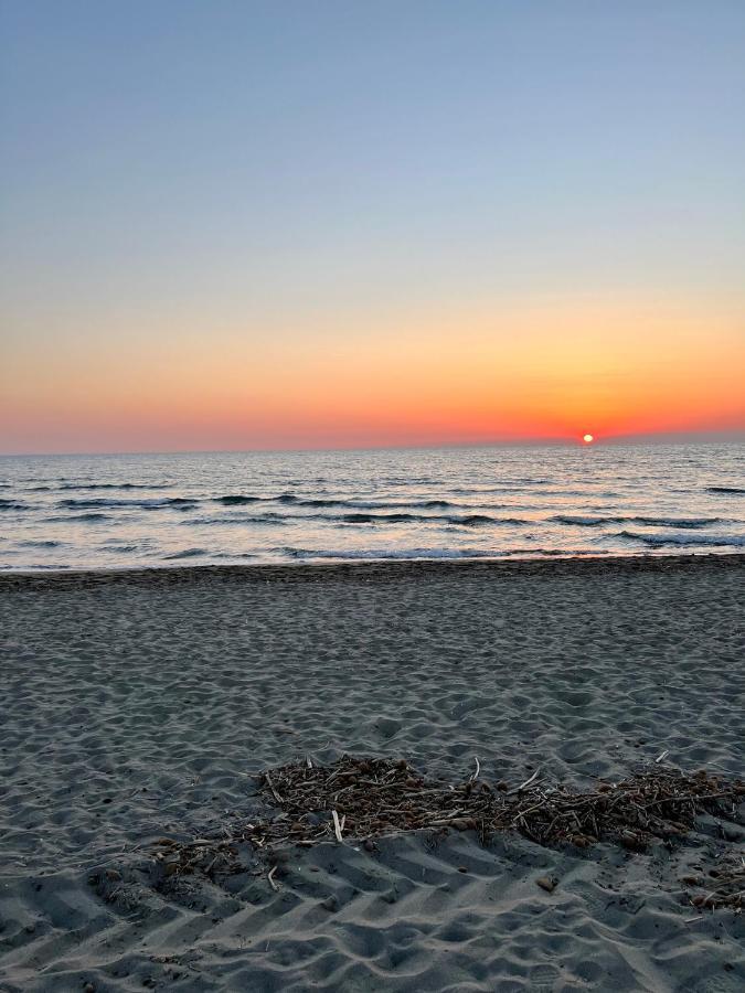 House Viareggio Villa ภายนอก รูปภาพ